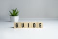 Guide Word Written In Wooden Cube on white background Royalty Free Stock Photo