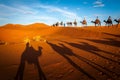 Adventure camel riding tours in the Sahara desert camels shadows Royalty Free Stock Photo