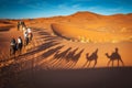 Adventure camel riding tours in the Sahara desert camels shadows Royalty Free Stock Photo