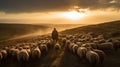 Guided by the Shepherd: Serenity at Dusk