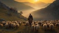 Guided by Twilight: A Shepherd\'s Journey with His Flock