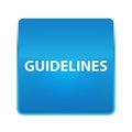 Guidelines shiny blue square button Royalty Free Stock Photo
