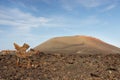 Guidepost to Timanfaya volcanic park, Lanzarote