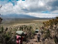 Guides porters and sherpas carry heavy sacks as they ascend mount kilimanjaro the tallest peak in africa.