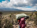 Guides porters and sherpas carry heavy sacks as they ascend mount kilimanjaro the tallest peak in africa.