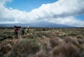 Guides porters and sherpas carry heavy sacks as they ascend mount kilimanjaro the tallest peak in africa.