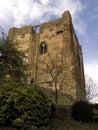 Guildford Castle Royalty Free Stock Photo