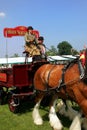 Guildford, England - May 28 2018: Dray or open wooden wagon belonging to Hook Norton Brewery, being pulled by two bay Shire horse