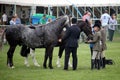 Guildford, England - May 28 2018: Equestrian riding competitors