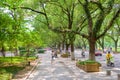 Beautiful tree lined road in Guilin. Colorful pedestrian walkways.