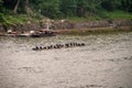 Raft with black cormorant birds along Li River in Guilin, China