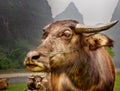 The Guilin landscape pictures - Guilin Li River. Buffalo home. Royalty Free Stock Photo