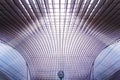Guillemins station, Liege, Belgium Royalty Free Stock Photo