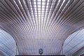 Guillemins station, Liege, Belgium Royalty Free Stock Photo