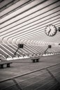 Guillemins station, Liege, Belgium Royalty Free Stock Photo