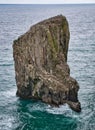 Guillemot colony at Stack Rocks / Creigiau Elegig, near Castlemartin, Pembrokeshire, Wales, UK