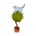 Guilty cat flat color character. Cute naughty playful cat damage houseplats. Kitten play with house plant in pot sitting on