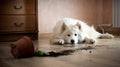 Guilty dog on the floor next to an overturned flower Royalty Free Stock Photo