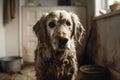 Guilty looking dirty dog covered in mud in kitchen. Generative AI