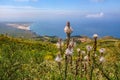 Guincho from Peninha