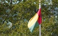 Guinea Bissao Flag in the front of United Nations Headquarter in New York Royalty Free Stock Photo