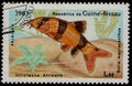 GUINEA-BISSAU - CIRCA 1983: stamp shows fish Clown Loach (Botia macracantha), african fauna