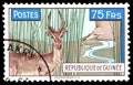 Postage stamp issued in Guinea with the image of the Impala antelope Defassa Waterbuck - one of the symbols of Africa Royalty Free Stock Photo