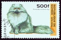 GUINEA - CIRCA 1996: A stamp printed in Guinea from the `Cats` issue shows Blue Persian cat, circa 1996.