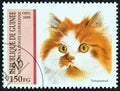 GUINEA - CIRCA 1995: A stamp printed in Guinea from the `Cats` issue shows Tortoiseshell, circa 1995.