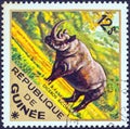 GUINEA - CIRCA 1975: A stamp printed in Guinea from the `Wild Animals` issue shows a Black Rhinoceros Diceros bicornis Royalty Free Stock Photo