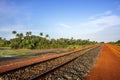 Guinea Conakry Kamsar morning jungle in view of railway from mining dian Dian Royalty Free Stock Photo