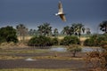 Guinea Conakry West Africa Boke province Kamsar close to sunset Royalty Free Stock Photo