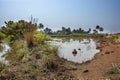 Guinea Conakry West Africa Boke province Kamsar. Noon time Royalty Free Stock Photo