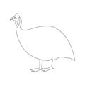 Guinea fowl bird, vector illustration, side view, lining Royalty Free Stock Photo