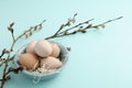 Guinea fowl eggs on duck egg blue background