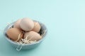 Guinea fowl eggs on duck egg blue background