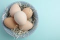 Guinea fowl eggs on duck egg blue background