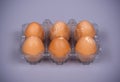 Guinea fowl eggs in plastic packaging