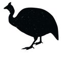 guinea fowl shadow animal icon silhouettes isolated on dark black graphical in white