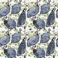 Guinea fowl. wild bird watercolor seamless pattern. Royalty Free Stock Photo