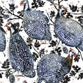 Guinea fowl. wild bird watercolor seamless pattern. Royalty Free Stock Photo