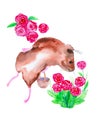 Guinea pig with a basket surrounded by red flowers. Comic watercolor illustration isolated on white background Royalty Free Stock Photo