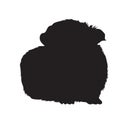 Guinea Pig Cavia porcellus  Sitting On a Front View Silhouette Found In Map Of South Africa Royalty Free Stock Photo