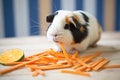 guinea pig chewing sweet potato strips