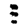 Guinea pig family. Silhouettes of pet animals