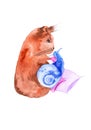 Guinea pig hugs and strokes the blue snail. Comic abstract watercolor illustration isolated on white background