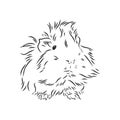 Guinea pig, pet, realistic vector sketch illustration Royalty Free Stock Photo