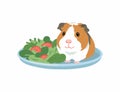 Guinea Pig Plate Cuy flat illustration Royalty Free Stock Photo