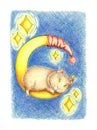 Guinea pig sleeping on the moon illustration with colored pencils Royalty Free Stock Photo