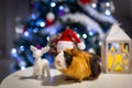 Guinea pig wearing a Santa Claus hat under the Christmas tree Royalty Free Stock Photo